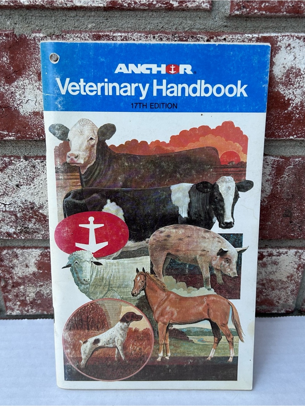 Anchor Veterinary Handbook For All Livestock 17th Edition Vintage 1983
